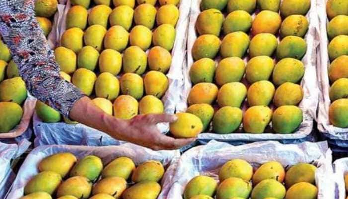 India ranked as top mango producer, China secures second place