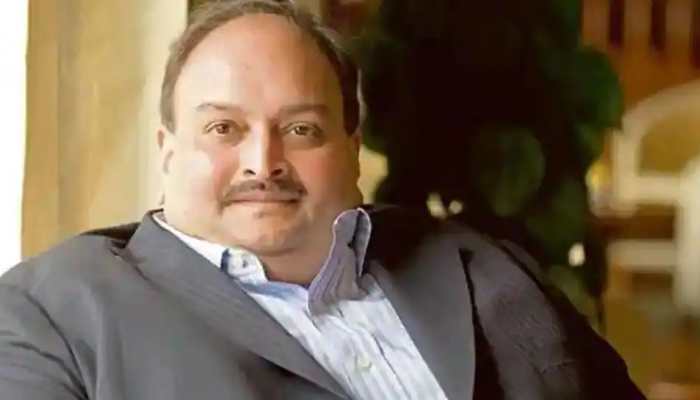 8-10 men beat me mercilessly, Barbara Jabarica involved in &#039;kidnap&#039;: Mehul Choksi files complaint