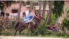 Video of woman riding horse wearing saree goes viral, leaves netizens amazed