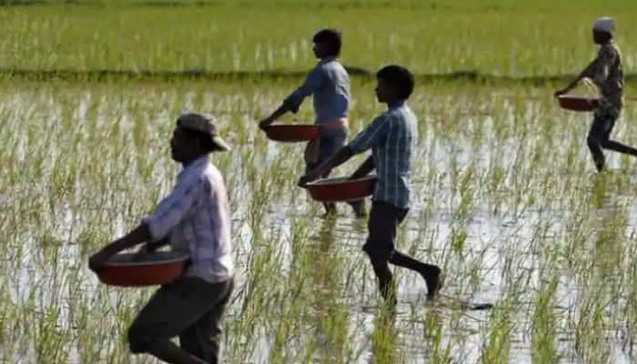 Farmers in Asia must increase cereal yields by 50-75% to meet demands of increasing population in next 25 years: Report