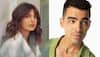 Priyanka Chopra thanks brother-in-law Joe Jonas for his personalised gift - Check photo!