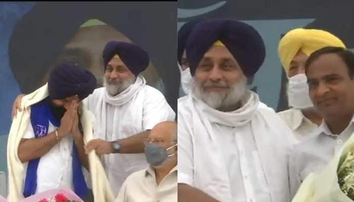 SAD, BSP form alliance for 2022 Punjab Assembly polls, announce 97-20 seat sharing plan