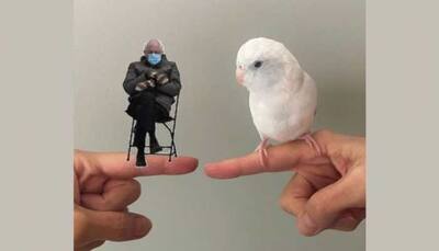 Arlo, famous wiggle bird says 'I love you', viral video melt hearts - WATCH