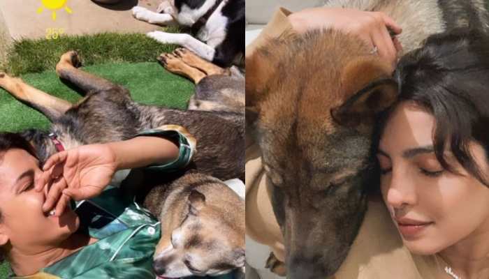 Priyanka Chopra offers glimpse of weekend spent with her dogs!