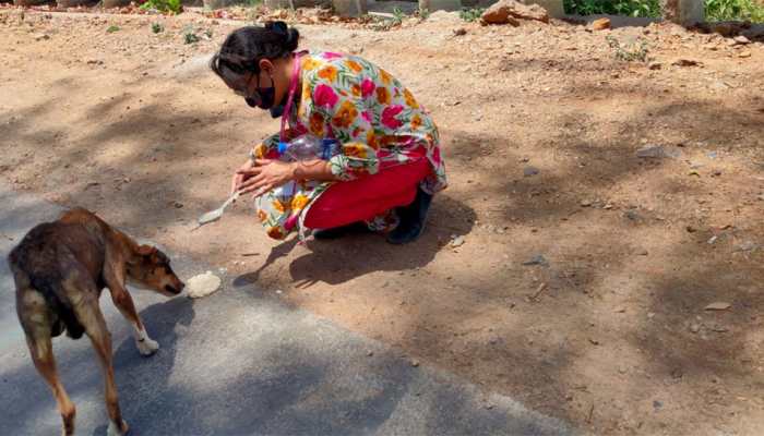 Meet Dr Mala Mattha from Rajasthan who feeds more than 1,000 animals daily in the COVID-19 era 