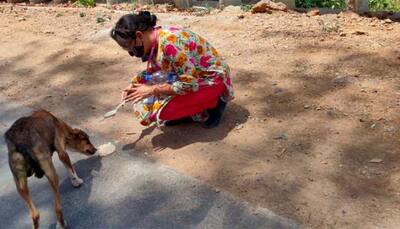 Meet Dr Mala Mattha from Rajasthan who feeds more than 1,000 animals daily in the COVID-19 era 