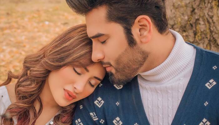 Bigg Boss fame Paras Chhabra wants to marry Mahira Sharma, ‘I have purchased a new house in her building’ shares the actor!