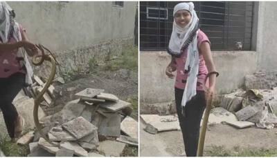 Kamal ki ladki: Girl catches King Cobra bare-handed, leaves netizens stunned