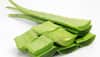 Neem and Aloe Vera, your skin care essentials