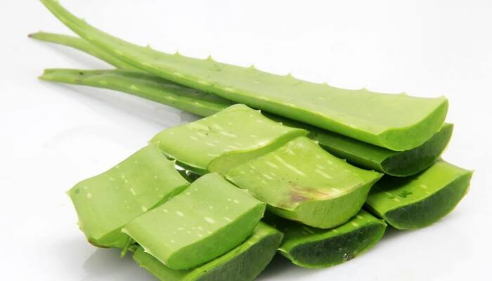 Neem and Aloe Vera, your skin care essentials