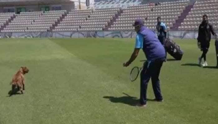 WTC Final: Team India coach Ravi Shastri gives &#039;fielding classes&#039; to a DOG in Southampton - WATCH