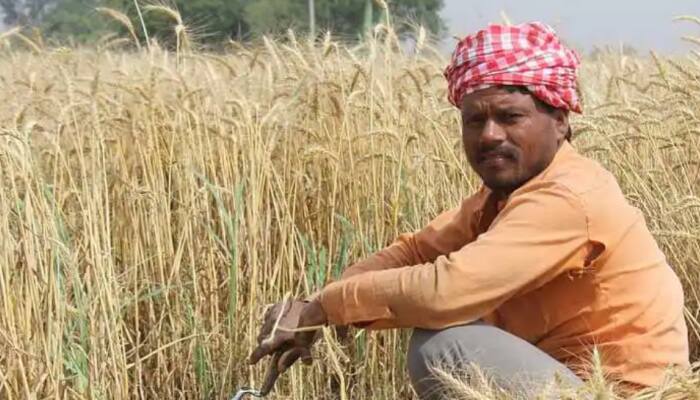 PM Kisan Yojana: Beneficiaries could land in jail if they’re found doing THIS