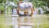 Jharkhand Rain