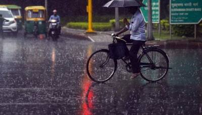 Delhi to receive light to moderate showers over weekend, predicts IMD