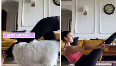 International Yoga Day: Alia Bhatt turns yogi with her cat Edward by her side - Watch