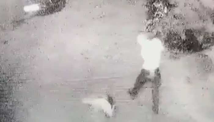 17-year-old in UP allegedly molested and thrown from her second floor home