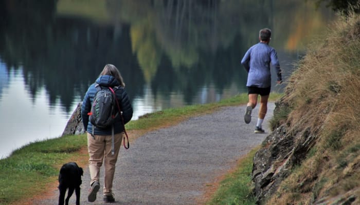Study suggests exposure to nature during COVID-19 lockdown beneficial for mental health