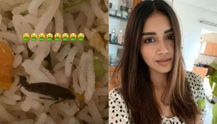 Shocking! Tamil actress Nivetha Pethuraj finds cockroach in meal, complains to Swiggy! 