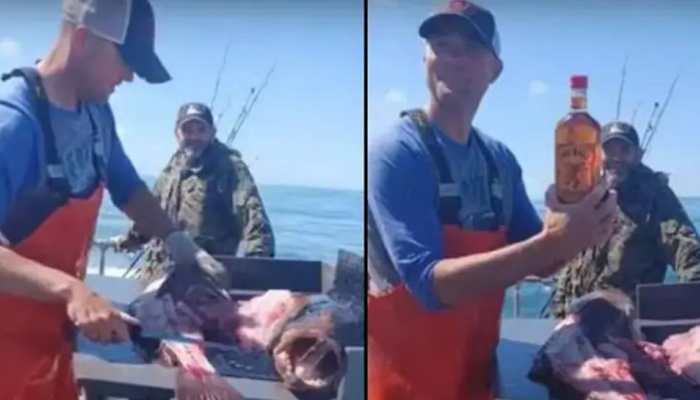 Fisherman discovers unopened whisky bottle inside fish, kicks up a debate - Watch