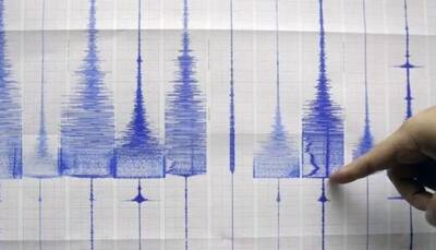 Earthquake of magnitude 4.6 on Richter scale hits Ladakh, no casualties reported 