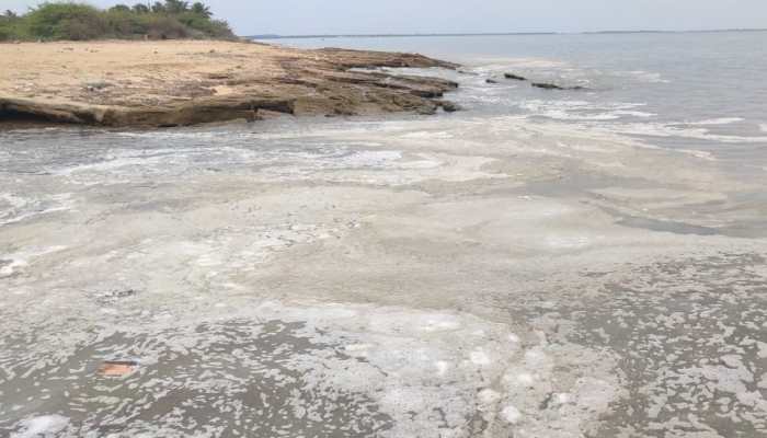 Foul-smelling foam wash ashore near Rameswaram, fishermen fear chemical leak from shipwreck