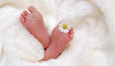 Prior COVID infection won't affect IVF success: Study