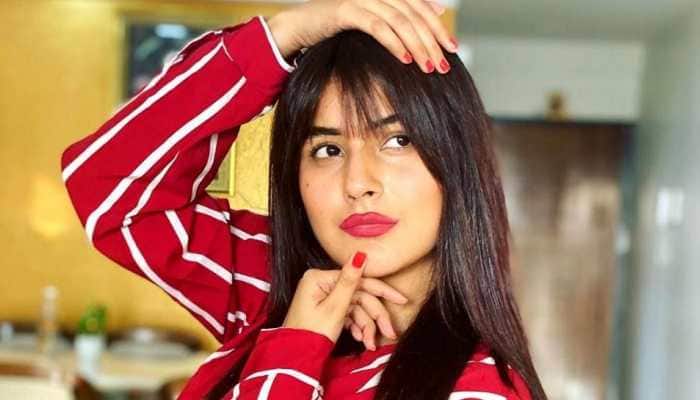 Bigg Boss fame Shehnaaz Gill tells fan ‘industry mein patli ladkiyan chalti hai’ - Watch video