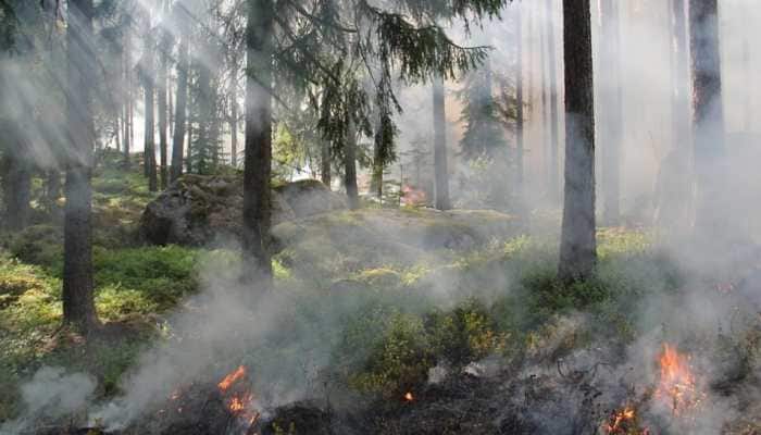 Cloud bursts linked to forest fires? Check what new study suggests