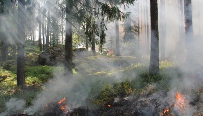 Cloud bursts linked to forest fires? Check what new study suggests