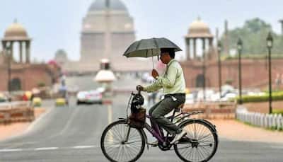 Delhi reels under blistering heatwave, monsoon revival unlikely in parts of north India till mid-July: IMD