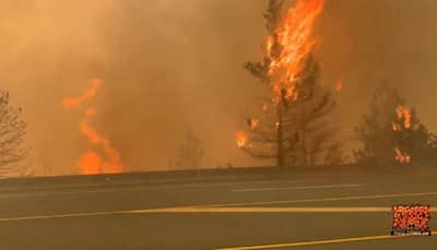 Wildfire guts town in Canada, more than 1,000 people evacuated