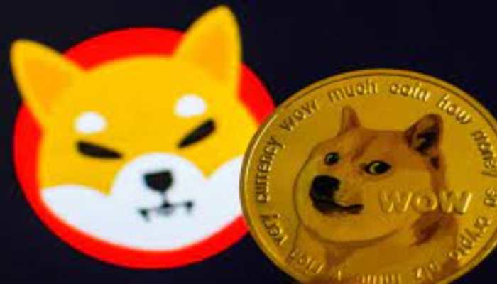 Dogecoin price in rupees now