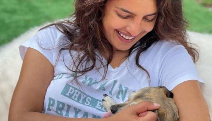 Priyanka Chopra shares glimpse of her with pet pup