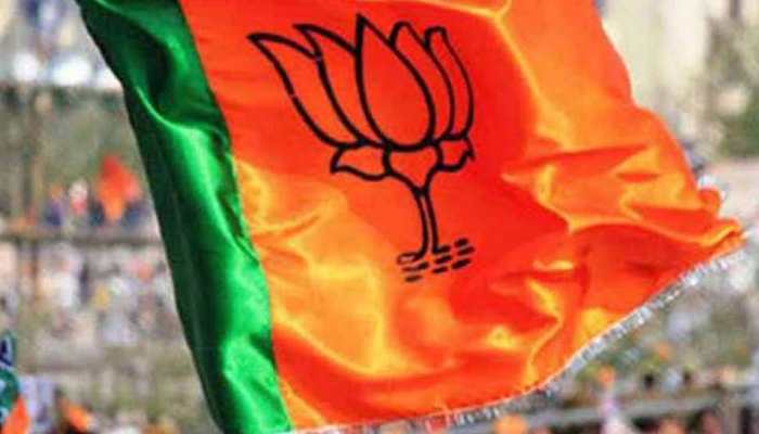UP Zila Panchayat chairperson election: BJP registers thumping victory, wins 65 of 75 seats