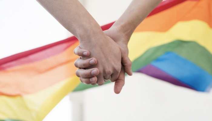 Same sex marriage: Can foreign-origin spouse be allowed to apply for OCI? Delhi HC seeks Centre's response