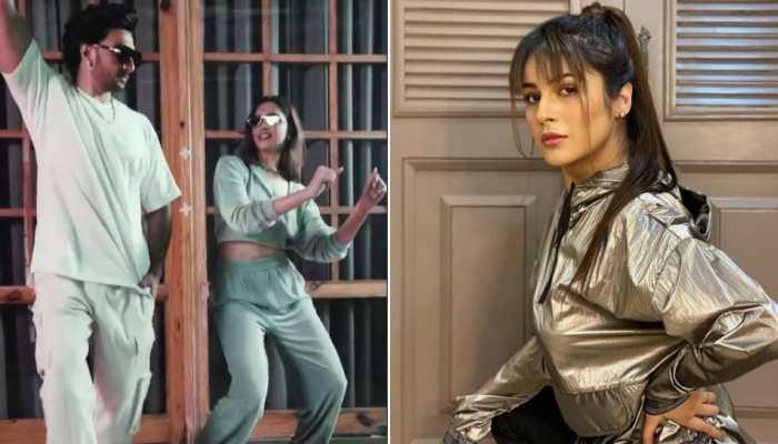 After ‘Twada Kutta Tommy’ video goes viral, Shehnaaz Gill reacts ‘Wow birthday Ranveer Singh ka and gift humein mil gaya’ 