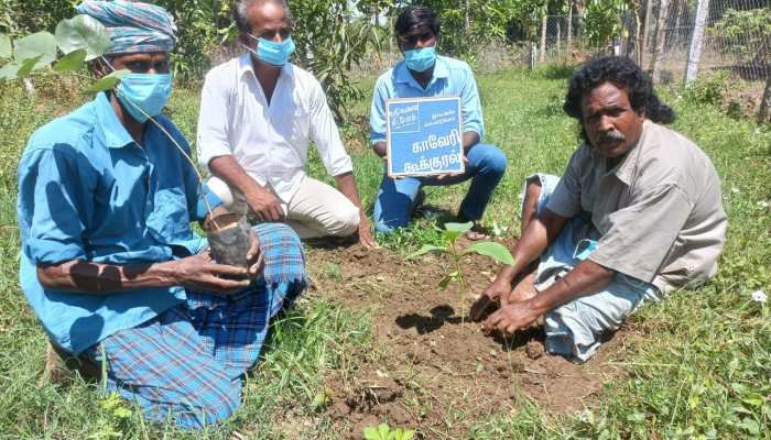 Farmers plant 2.1 lakh saplings across Tamil Nadu for ‘Van Mahotsav’