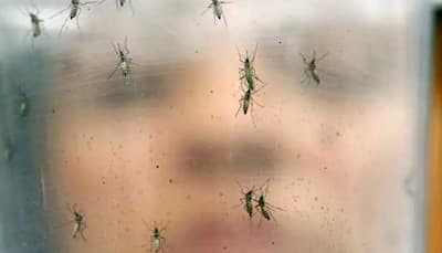 Amid COVID-19 crisis, Kerala reports several cases of Zika virus 