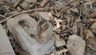 Grenade found in gutter at Delhi's Sagarpur, area cordoned off