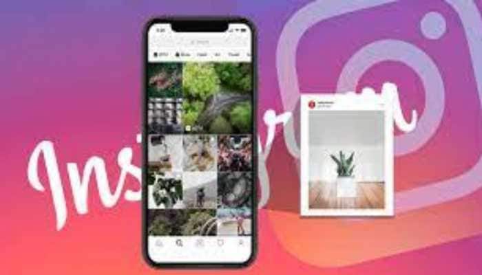Instagram User Here S How To Change Or Reset Your Explore Feed Technology News Zee News