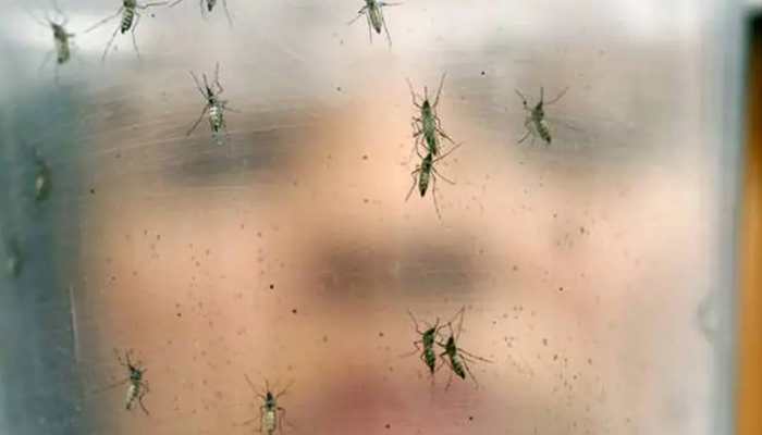 Zika virus outbreak adds to Kerala&#039;s woes amid spurt in COVID-19 cases 