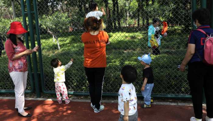 French people going 'childfree' to control overpopulation and reverse global warming