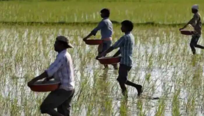 Kisan Sarathi platform launched to boost agri income, here’s how it’ll benefit farmers