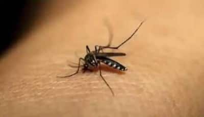 5 more Zika virus cases in Kerala, total tally at 35: Kerala Health Minister