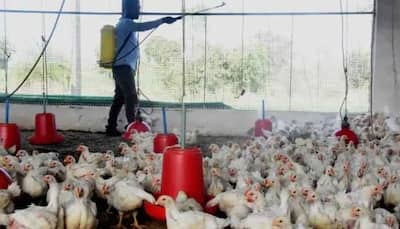 India reports its first bird flu death of 2021