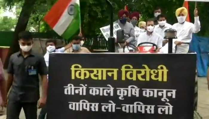 Rahul Gandhi drives a tractor to Parliament to protest against new farm laws