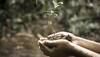 Turmeric to Methi: Top ten foods to consume during monsoon season