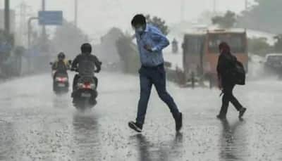 Normal rainfall expected in August to September across nation: IMD