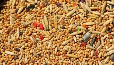 Millet-based diet can lower risk of type 2 diabetes: Study