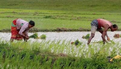 PM Kisan Samman Nidhi: Around 18 lakh farmers in Uttar Pradesh to get Rs 32,500 crore 